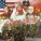 Steel Pulse - Steppin' Out