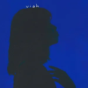 viah - Terrible Love