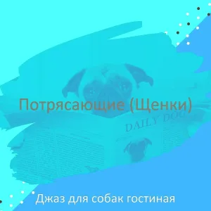 Джаз для собак гостиная - Созерцая (Выгул собак)