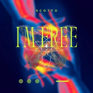 Scotto - Honey