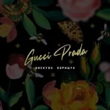 Нискуба, Борищук - Gucci Prada