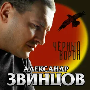 Звинцов Александр - Тебя искал