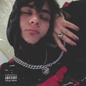 Wild - My Rules