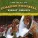 Florida State University Marching Band - Michigan State University Fight Song - Michigan State University