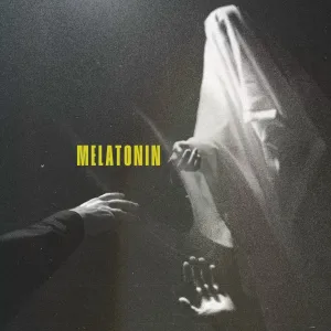 фанаты среды feat. krysichback, meatgun, Dofamie - MELATONIN