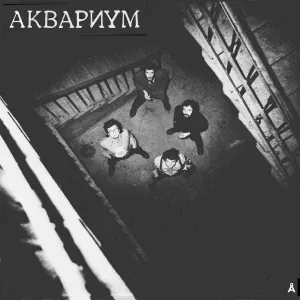 Aquarium - Река
