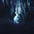 Paris Shadows, Raven Gray - Weeping Willow