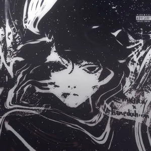 Hikiray feat. Benedixhion - lonely thoughts