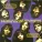 Shocking Blue - In My Time Of Dying