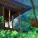 Lofi Sleep Chill & Study & Lo Fi Hip Hop & Chillhop Music - Chill HipHop Lofi ChillHop Music