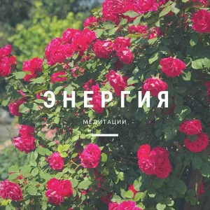 Энергия медитации - Приветствие солнцу