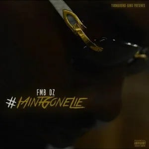 FMB DZ feat. Babyface Ray - Set It Off
