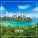 Tropical House - All The Summers We Had