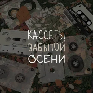 розовые окна - туман