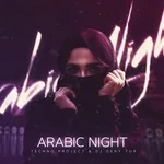 Techno Project, Dj Geny Tur - Arabic Night