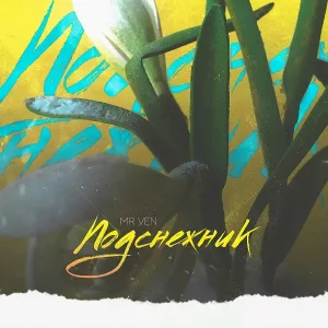 Mr Ven - Подснежник