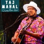 Taj Mahal - Think