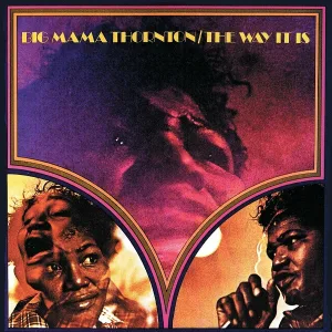 Big Mama Thornton - One Black Rat