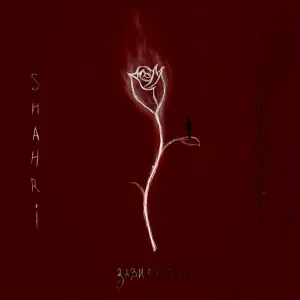SHAHRI - ИНТРО