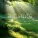 Neoclassical New Age Movement - New Beginning