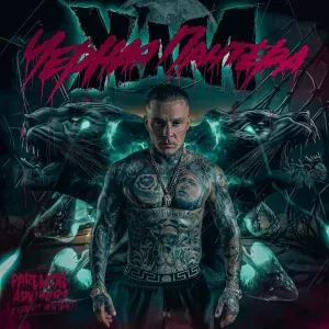 X'AM - Чёрная пантера
