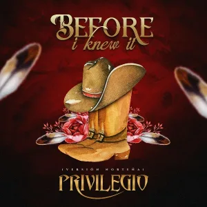 Privilegio - Before I Knew It ( Versión Norteña )