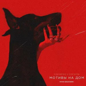 Бодя Мир642 х Dewensoon - Мотивы на дом