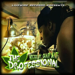 Shady Nate feat. Stevie Joe, 4rAx - Plug Me In