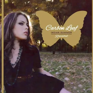 Carbon Leaf - Life Less Ordinary