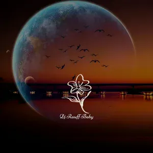 Dj Rauff - Baby