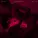 Lonelium, SLXEPING TOKYO - I WANT YOU
