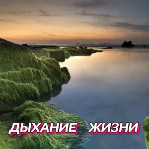 Сергей Грищук - ДЫХАНИЕ ЖИЗНИ