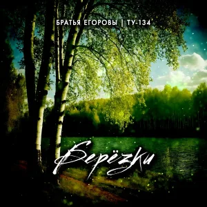 Братья Егоровы, ТУ-134 - Берёзки