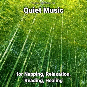 Sleep Music, Relaxing Music, Yoga - Slow Music