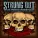 Vitamin String Quartet - Burn It Down