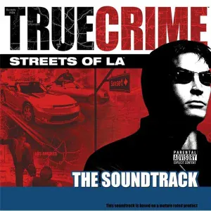 Ice Cube - Terrorist Threat