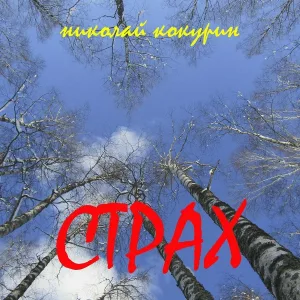 Николай Кокурин - Молчание