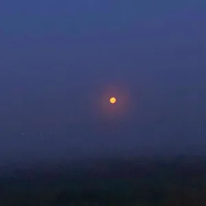 ASERT - Угощает