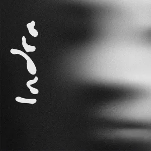 Indra - Идиот