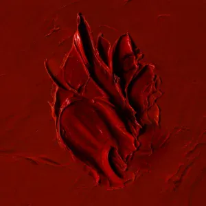 The Amba - Сердце
