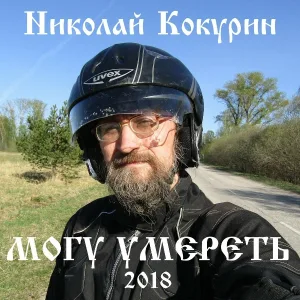 Николай Кокурин - В жопу