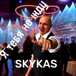 SKYKAS - Я тебя не жду