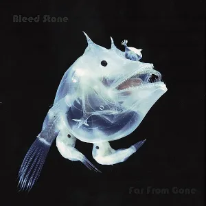 Bleedstone - Moon Shine (It's Only a Reflection)