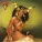 Cher - Take Me Home
