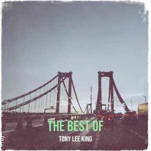 Tony Lee King - Brandy Man
