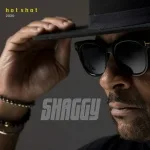 Shaggy - Boombastic (Hot Shot 2020)