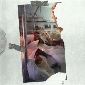 Thi'sl feat. V. Rose - This Is Not The End