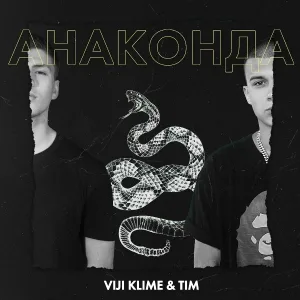 Viji Klime, TIM - Анаконда