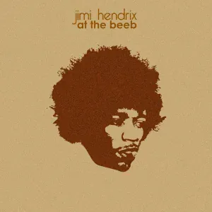 Jimi Hendrix - Purple Haze