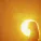 John Murphy - Sunshine (Adagio in D Minor)